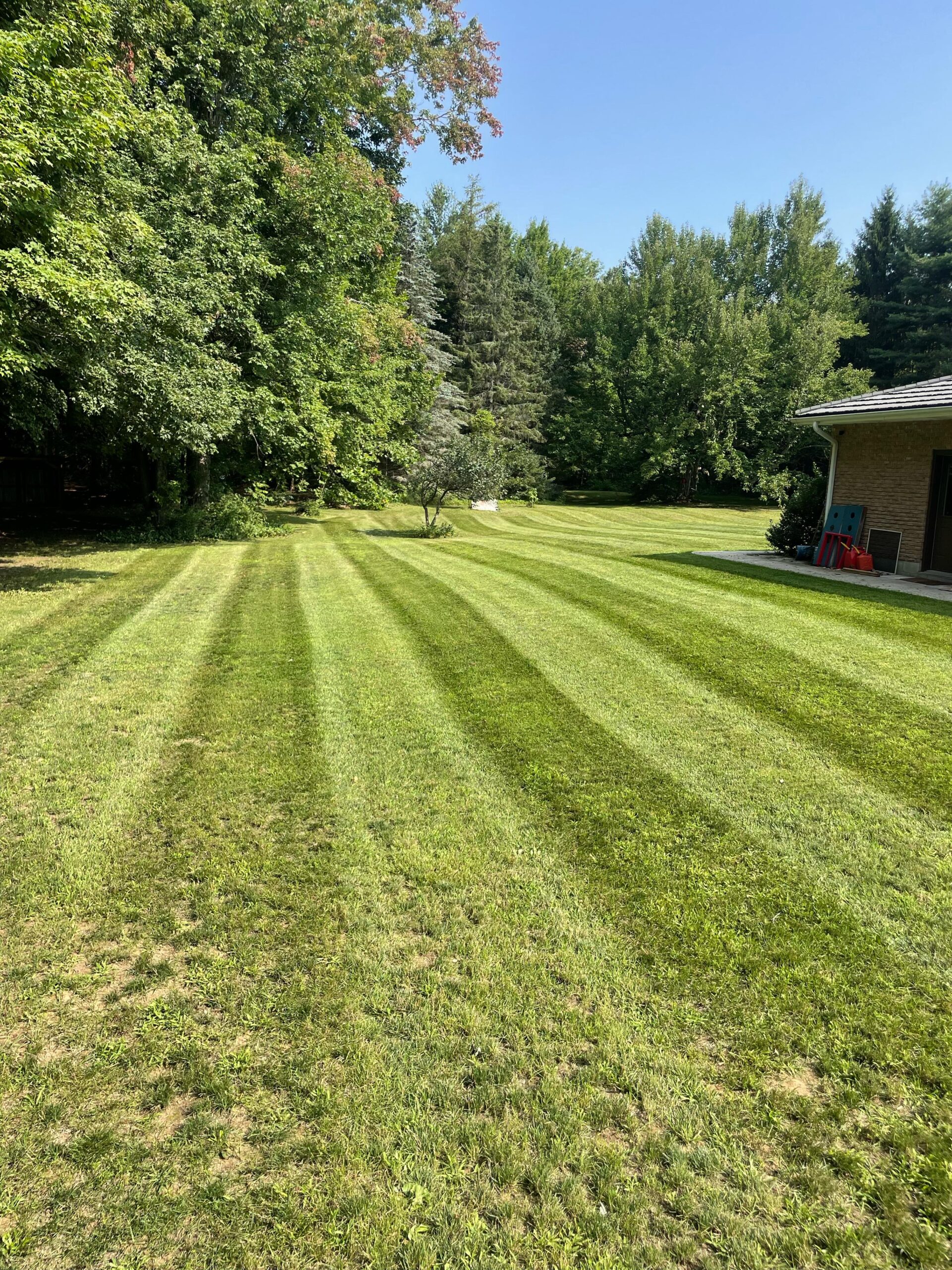 15630aeb-6694-4d9f-8948-e9dadfff236f